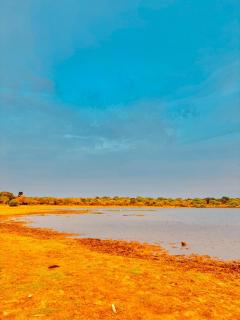 Yala Wadiya with Wildlife Boat Safari - 8