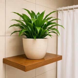 Motel des Fleurs - 6