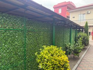 Kobuleti cottages Коттеджи Кобулети - 6