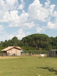 Gîte - La Ferme à la Plage - 0