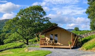 Safari Tent with Hot Tub in heart of Snowdonia - 6