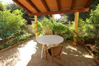 ANA Ap2 - 3