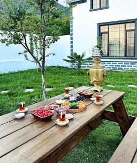 Villa Gabala Riverside - 3