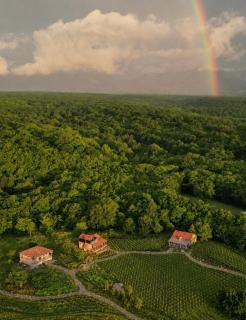 Chateau Vartsikhe - 5