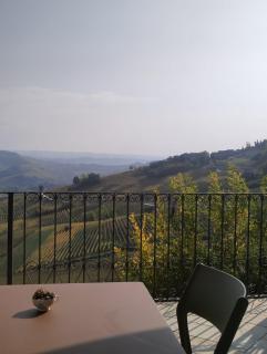 Sky and Vineyards - Nespolo - - 1