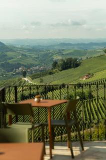 Sky and Vineyards - Nespolo - - 7