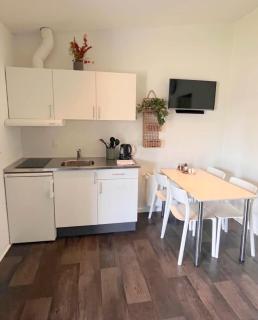 Vorbasse Holiday Apartments - 1