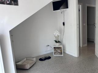 ARIEL'S house - 1