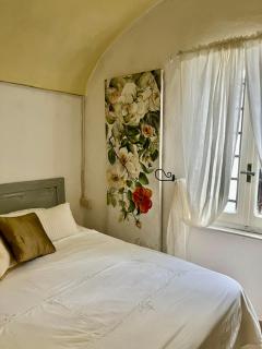 Historic Center Cottage Style Apartment - 4