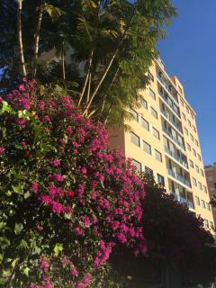 Apartamento La Tramuntana - Benidorm - 8
