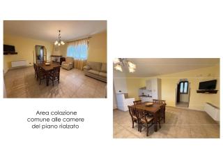 B&B Le Margherite - 5