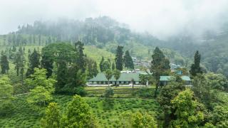 Singell Tea Estate - A CGH Earth Experience - 0
