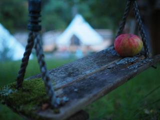 Lazy Dreams Voia Glamping - Cort Panorama - 6