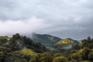 Lazy Dreams Voia Glamping - Cort Panorama - 1