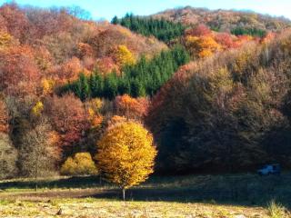 Lazy Dreams Voia Glamping - Cort Panorama - 7