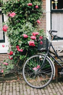 Hermitage Suites & Apartments - Amsterdam Zaandam - 1