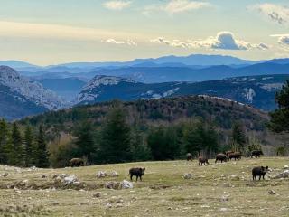 Bergerie du Salbadou - 9