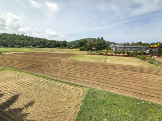 Brundavana Home Stay - 1