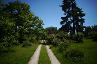 Les Grands Aulnes - 2