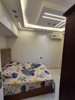 Zein Luxury Apartment - Maamourah Beach - 7