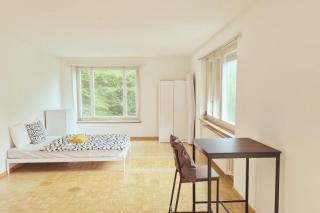 Zurich Center Flats with Balcony - RigiB - 5