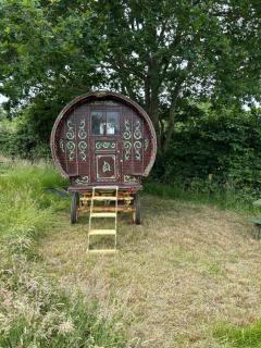 Vardo gypsy wagon - 4