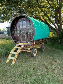 Vardo gypsy wagon - 1