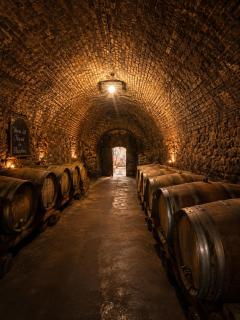 Schloss Hollenburg Aparte Apartments - 2