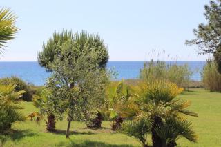 Beachfront apartment - 2