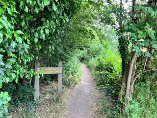 Double Room with Garden View at Love & Peace Petts Wood - 9