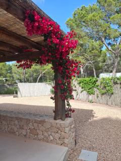 A beautiful villa close to the beach - 4