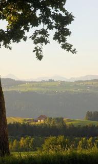 Ferienwohnung BergLiebe mit Alpenblick - 2