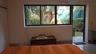 Woodland in the city, huge garden - 9