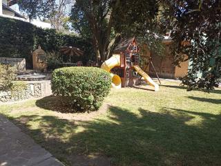Woodland in the city, huge garden - 4