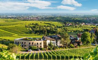 Hotel Rebenhof - Baden-Baden - 0
