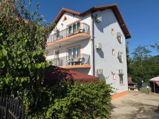 Vila Raysa și Andrei - 8