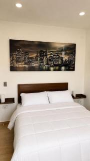 Suite Ejecutiva Alberca, Roof Garden azador, WiFi - 9