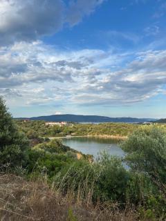 Anna’s Olive Grove - 5