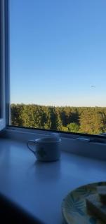 Sunset Bird Watcher Apartament - 0