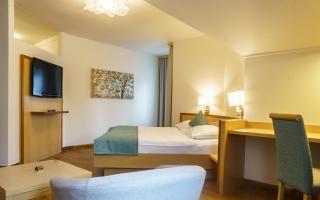 Hotel-Restaurant Gollner - 8