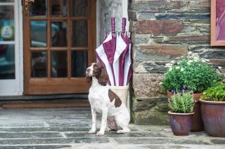 The Wellington Hotel - Boscastle - 5