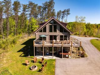 Theater Game Room Hot Tub Dog-Friendly Sleeps 12 - 4