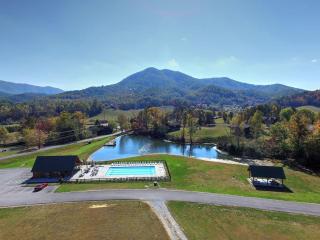 Secluded Cabin Pool Access Arcade & Screened Hot Tub - 9