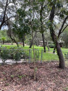 Family Hideaway on 2 Acres - Peace & Privacy - 8