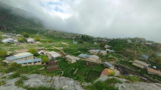 Elton Guest Hause - 7