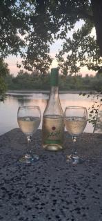 Vikendica Sejšeli na Drini - 9
