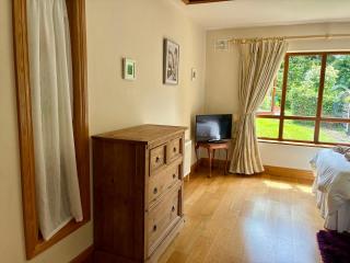 Borodino Studio Apartment - 5
