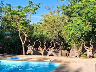 Rhino House - 7