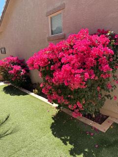 Beautiful home in a very desirable area! - 9
