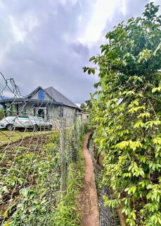 Hilm cottage - 7